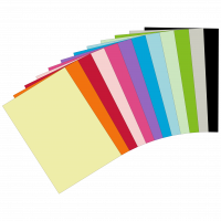 24 Blatt Qualitätspapier (12 Farben x 2 Blatt) / Farbpapier/Kopierpapier A4 XXX 210g/qm Coloraction